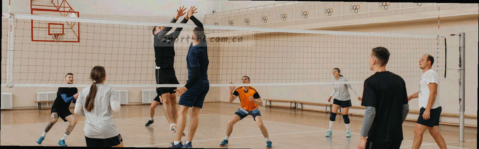 抽象数据纹样：细线网格与色块构成的盾形轮廓，靛紫与墨绿基调